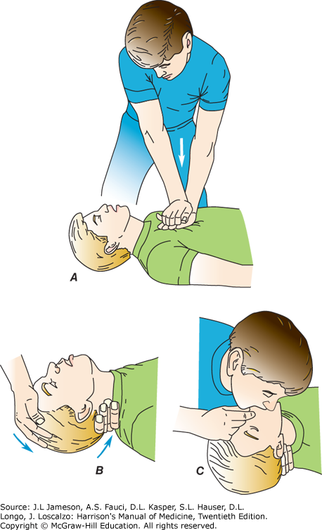 hmom20_ch11_f001.png