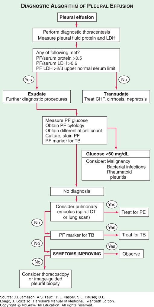 Chapter 137 Diseases of the Pleura Harrison's Manual of Medicine