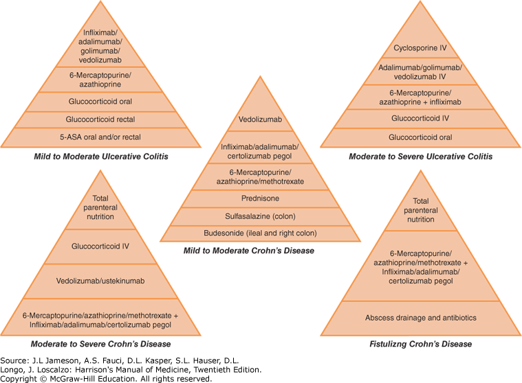 Chapter 151 Inflammatory Bowel Diseases Harrison's Manual of Medicine
