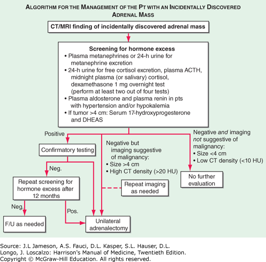 INCIDENTAL ADRENAL MASSES Harrison's Manual of Medicine
