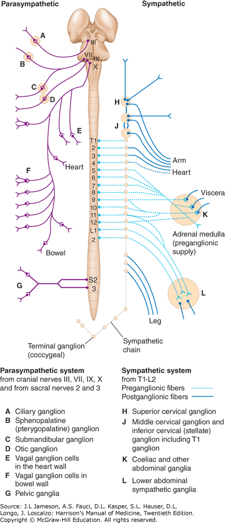 hmom20_ch189_f001.png