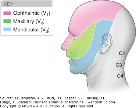 hmom20_ch190_f001.png