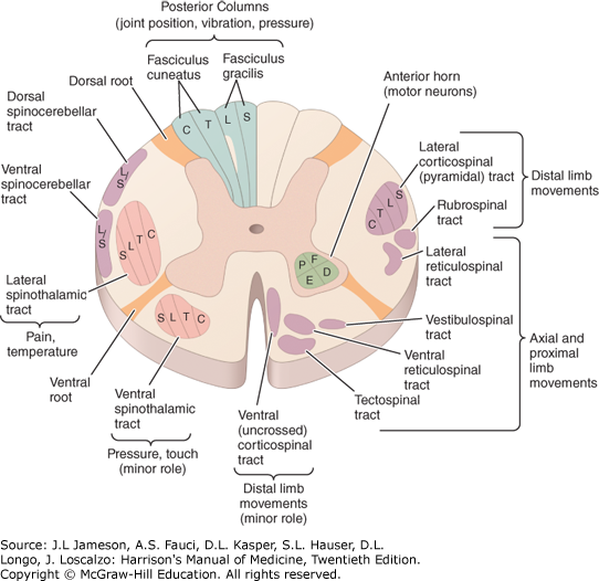 hmom20_ch191_f001.png