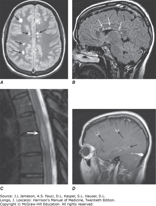 hmom20_ch192_f001.png