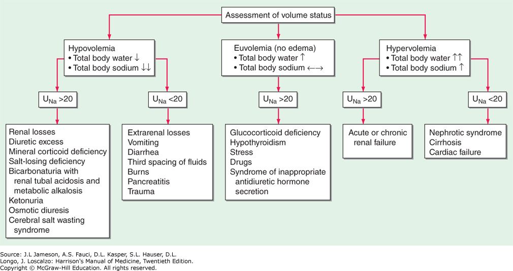 Hyponatremia Harrison S Manual Of Medicine Hyponatremia algorithm from european guideline: hyponatremia harrison s manual of
