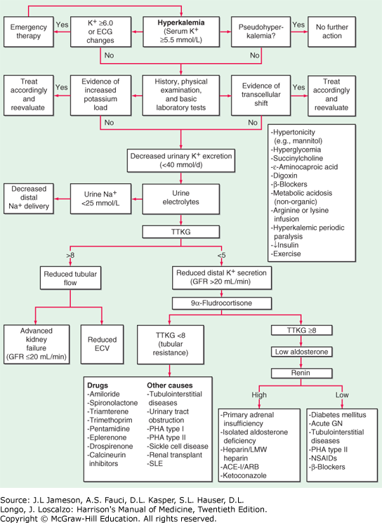 HYPERKALEMIA Harrison's Manual of Medicine