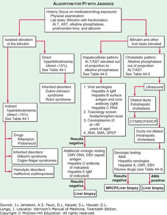 Chapter 44 Jaundice and Evaluation of Liver Function Harrison's Manual of Medicine