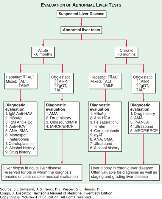 Chapter 44 Jaundice and Evaluation of Liver Function Harrison's