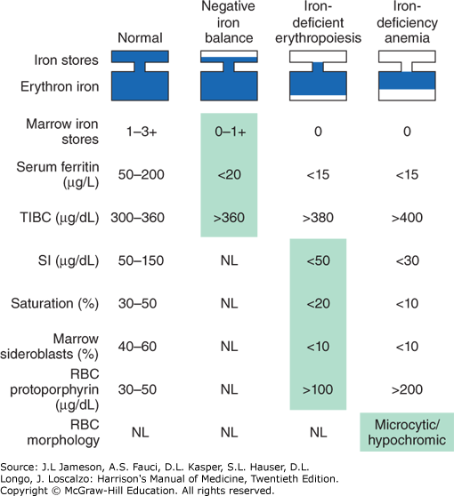 HYPOPROLIFERATIVE ANEMIAS Harrison's Manual of Medicine